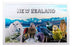 NZ Magnet - Foil Magnet Native Birds & Sheep
