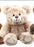 Teddytime: Brand Bears - Light Brown