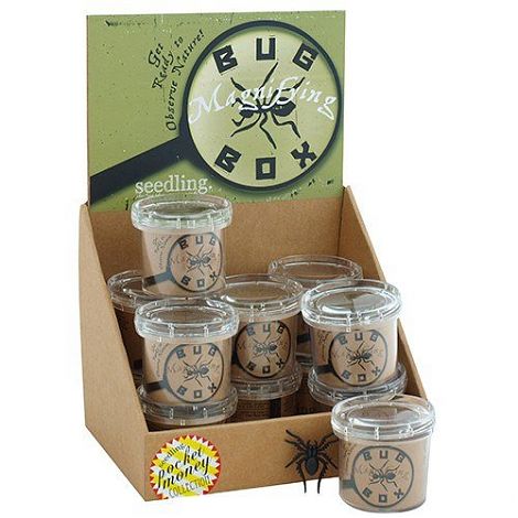 Seedling - Magnifying Bug Box