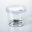 Seedling - Magnifying Bug Box