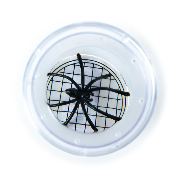Seedling - Magnifying Bug Box