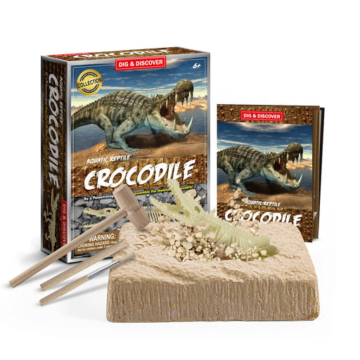 Piano Potato - Crocodile Dig Kit