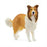 Schleich - Collie (new 2025)