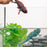 Schleich - Chameleon