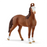 Schleich - Marwari Mare (new 2025)