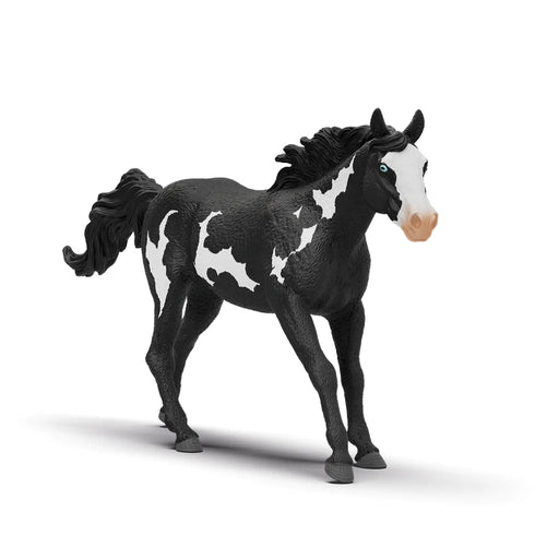 Schleich - Paint Horse Gelding (new 2025)