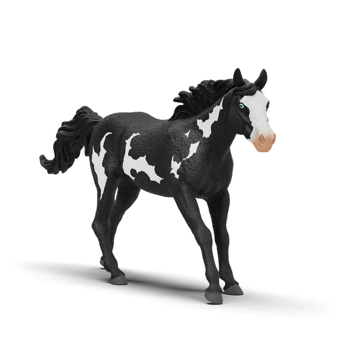 Schleich - Paint Horse Gelding (new 2025)