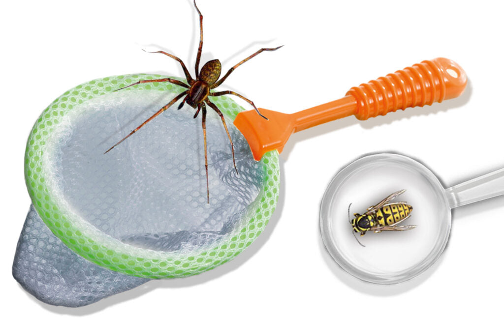 SES Creative - Insect Explorer