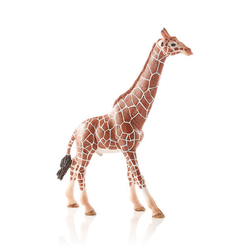 Schleich - Giraffe Male