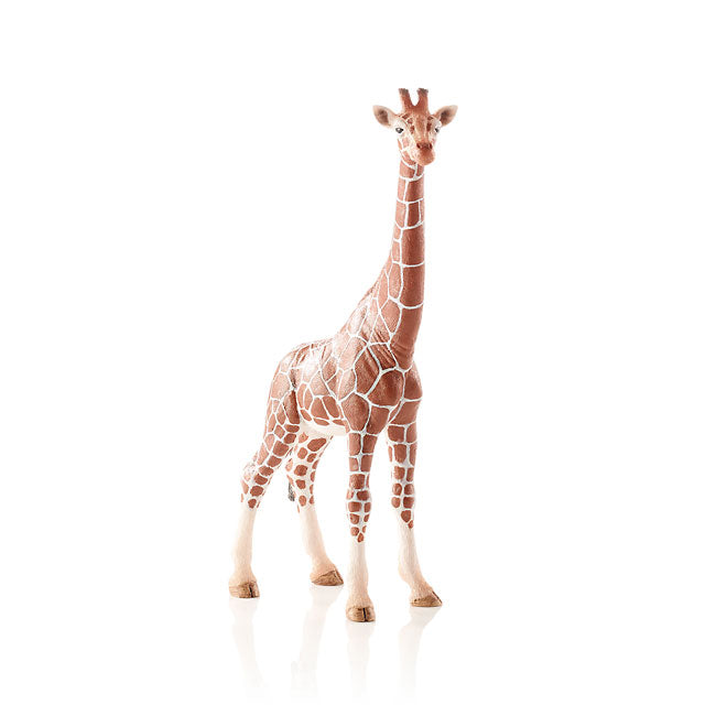 Schleich - Giraffe Female