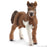 Schleich - Shetland pony foal