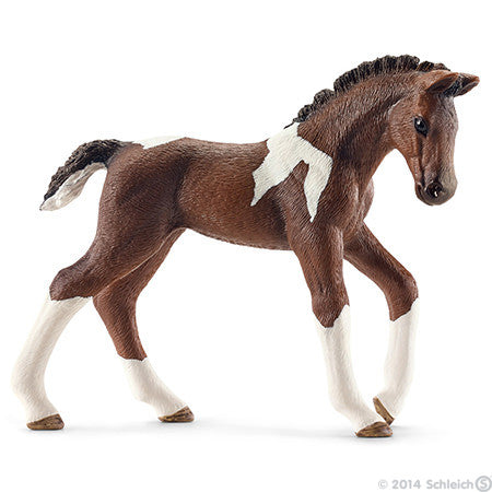 Schleich - Trakehner foal