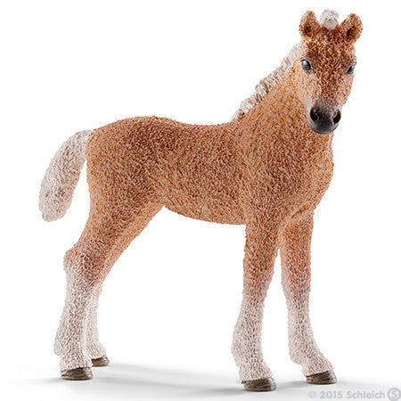 Schleich - Bashkir Curly foal