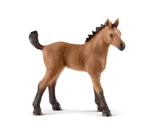 Schleich - Quarter Horse Foal