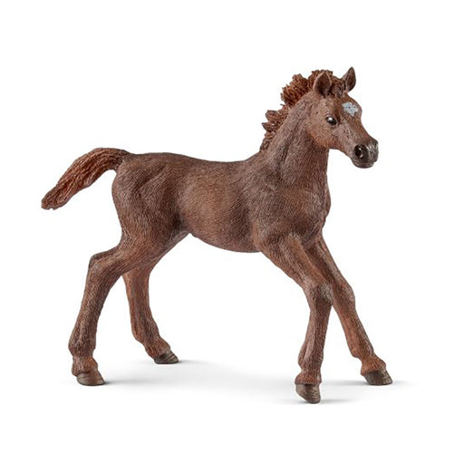 Schleich - English Thoroughbred Foal