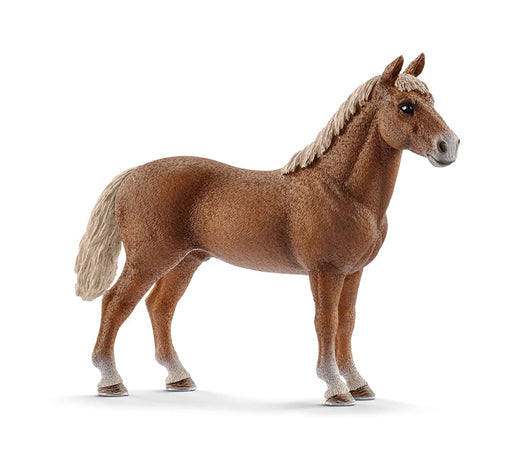 Schleich - Morgan Horse Stallion