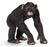 Schleich - Chimpanzee Male (old)