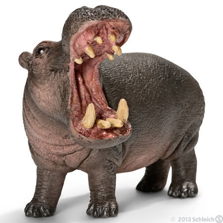 Schleich - Hippopotamus