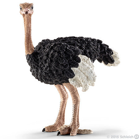 Schleich - Ostrich