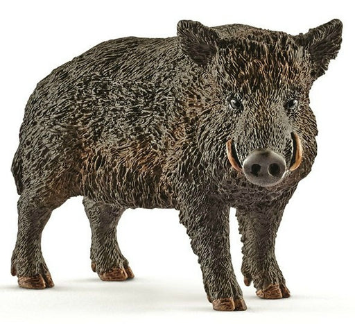 Schleich - Wild Boar
