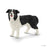 Schleich - Border Collie