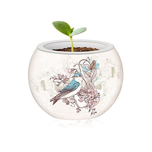 Pintoo Puzzle Flowerpot - Singing Birds and Flowers