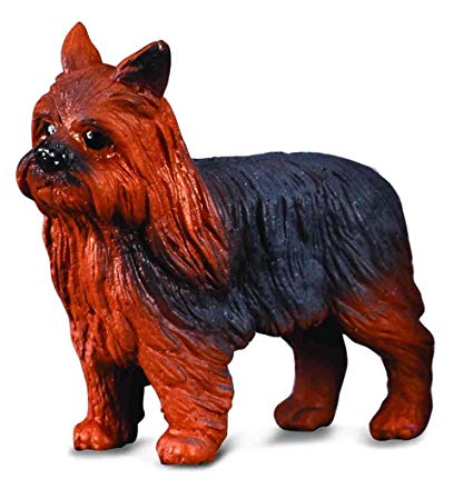 Collecta - Yorkshire Terrier 88078