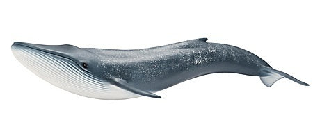 Schleich - Blue Whale