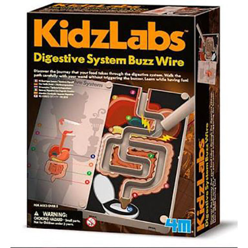 4M KidzLabs - Digestive System Buzz Wire