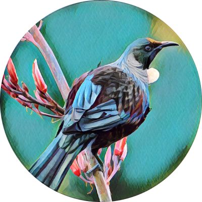 New Zealand Coasters - New Zealand Birds