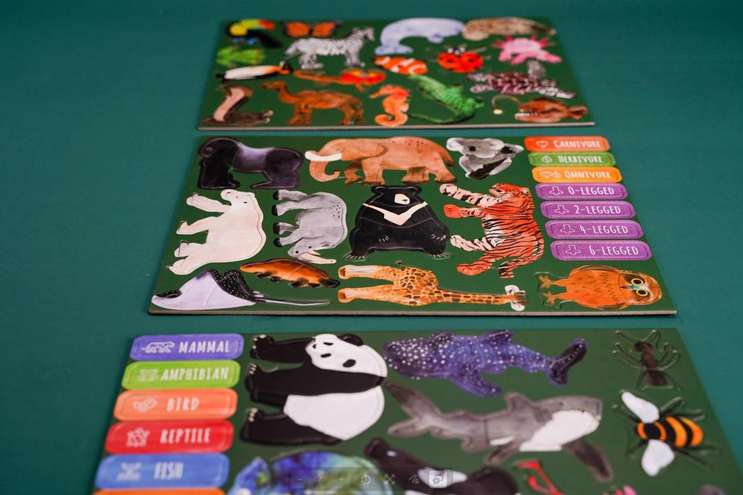 MierEdu: MI Nature Brain - Animals Magnetic Puzzle