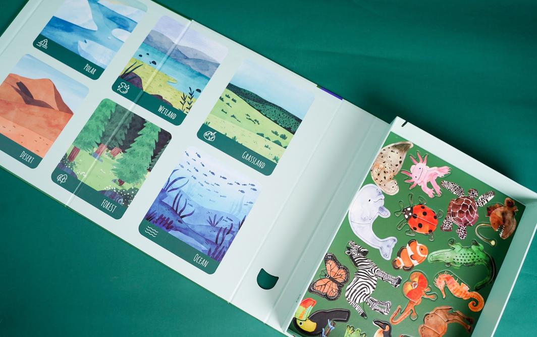 MierEdu: MI Nature Brain - Animals Magnetic Puzzle