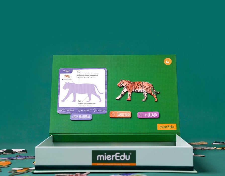 MierEdu: MI Nature Brain - Animals Magnetic Puzzle