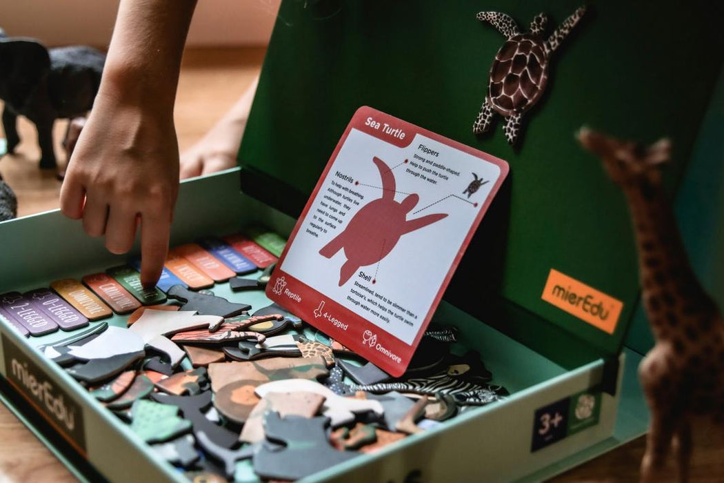 MierEdu: MI Nature Brain - Animals Magnetic Puzzle