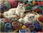 Cobble Hill Puzzles: Rag Doll Easy Handling Puzzle