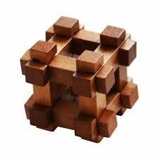 Professor Puzzle - Great Minds Darwin's Chest Puzzle