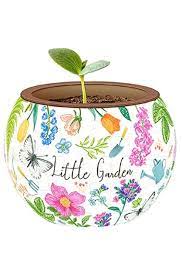 Pintoo Puzzle Flowerpot - Little Garden