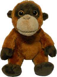 Antics: Wild Mini Orangutan