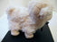 Kiwi & Friends - Standing Ram with Baa Noise 18cm