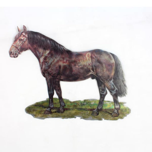 Wall Art - Horse