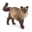 Schleich - Ragdoll Cat