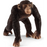 Schleich - Chimpanzee Male