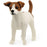 Schleich - Jack Russell Terrier