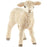 Schleich - Lamb