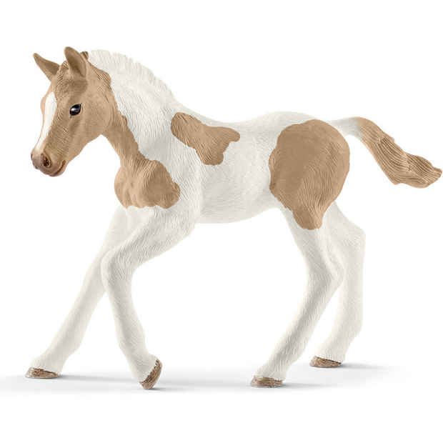 Schleich - Paint Horse Foal