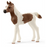 Schleich - Pintabian Foal