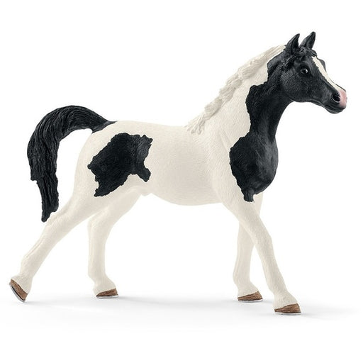 Schleich - Pintabian Stallion