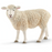 Schleich - Sheep