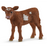Schleich - Texas Longhorn Calf
