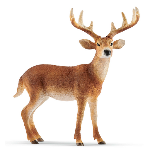 Schleich - White-tailed Buck